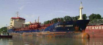 CLIPPER LEANDER
